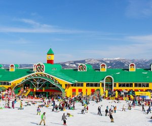 日本岐阜 - 知名滑雪場 【低門檻+包吃住】